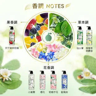 【LUX 麗仕】植萃系列精油香氛沐浴露 550mlx5入(多款任選)