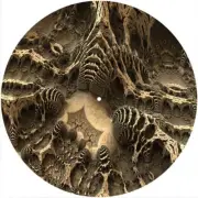 Slipmat Slip Mat Felt for any 12" Turntable LP DJ Vinyl Record Player FRACTAL 20