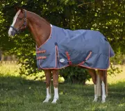 Weatherbeeta Comfitec Essential Plus Standard Neck Turnout Medium CLOSEOUT