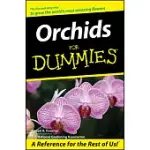 ORCHIDS FOR DUMMIES