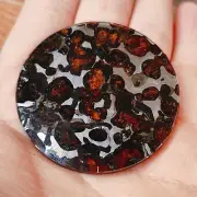 SERICHO pallasite Meteorite slice from Kenya Diameter 50mm