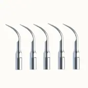 5pcs Dental Scaling Tip G1 Ultrasonic Scaler Fit EMS and Woodpecker Hand piece