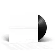 But Here We Are (Vinyl)