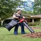 Vacuum Shredder Blower Handheld Bag 2 Speed Electric Mulcher Yard Lawn Vac