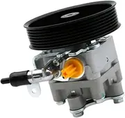 Power Steering Pump Professional 491109N00A Compatible With Nissan Maxima Murano