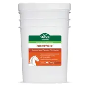 STANCE EQUITEC TURMERICLE POWDER 10Kg Tumeric & Coconut Oil powder