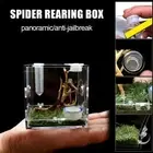 Feeder Jumping Spider Breeding Box Breeding Cage Insect Box Spider habitat