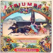 Virginia Triumph Roman Chariot Races Tobacco Crate Box Label Art Poster Print