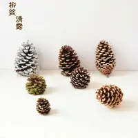 在飛比找樂天市場購物網優惠-大松果裝飾圣誕擺件超大植絨雪松創意居家擺設 工藝品diy制作