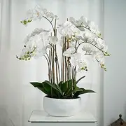 Glamorous Fusion - 90cm Real Touch Artificial Pahlenopsis Orchid in Ceramic Pot - Realistic, Lifelike, Decoration for Home, Living Room, Bathroom, Office