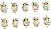 [CIMAXIC] 10pcs Owl Pendant Charm Diy Charm Pendant Necklace Jewelry Making Supplies Creative Owl