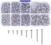 Bjworeye 800Pcs Stainless Steel Self Tapping Screw Assortment Kit Lock Nut Wood Thread Nail Screw Sets M2