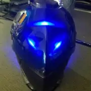 Overwatch prop Ana shrike mask