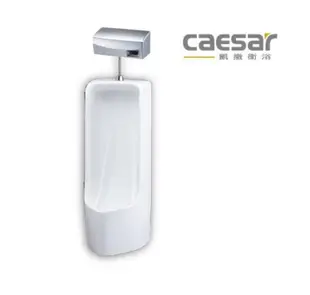 【阿貴不貴屋】 Caesar 凱撒衛浴 U0296 感應式沖水器 落地式便斗 立式小便斗