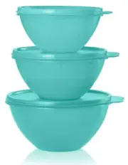 Tupperware Wonderlier Bowl 6pc TEAL Nesting Butterfly Seal Airtight BLUE