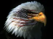 32 Channel LOR Sequence - God Bless the USA/Armed Forces Medley Techno Version!!