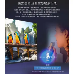 【PHILIPS 飛利浦】75吋4K安卓聯網語音聲控連網液晶電視75PUH8507 贈英國Majority藍芽聲霸