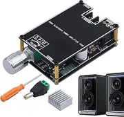 Wireless Audio Amplifier Board, 100W Mono Amplifier Board, Portable Audio Accessory for Home Outdoor Events Car Studio