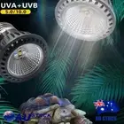 Basking Light Bulb UVA UVB Concave And Convex Mirror Full Spectrum LED Reptile