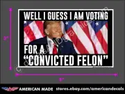 TRUMP 2024 STICKER VOTING CONVICTED FELON ANTI DEMOCRAT DECAL WINDOW