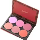 ColourPop Blush Cheek Palette Set 6 Shade DISCONTINUED Big Palette!