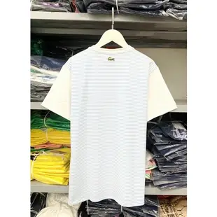 [實圖] Lacoste T 恤白藍 SOC VNXK - 100% Crocodile COTTON