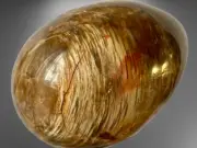 87mm 394Grams "Hand-Selected"~Madagascar Petrified Wood Crystal EASTER EGG P1395