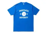 NEW - LIMITED EDITION UNDFTD/UNDEFEATED BIG TEN CHAMPS TEE - ROYAL (Size XXL)
