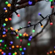Eglo 700 LED Multi Colour Berry Fairy Lights