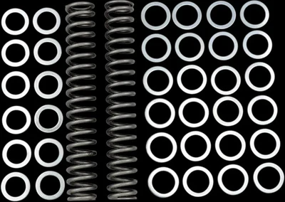 Race Tech Fork Spring 1.20 kg/mm Pair for Yamaha MT 10 18-23