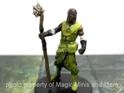 Tomb of Annihilation ~ QAWASHA #7A Icons of the Realms D&D miniature human druid