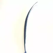 Golden Pheasant Centre Tail Feather x 10 pcs - Royal Blue ((BULK PACK))