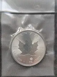 在飛比找Yahoo!奇摩拍賣優惠-2018加拿大凹版楓葉銀幣一盎司楓葉銀幣