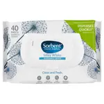 Sorbent Clean & Fresh Wipes 40 Pack