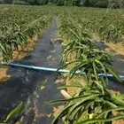 1M Weedmat Weed Control Mat Woven Fabric Black Membrane Yard Landscape Barrier