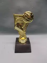 VOLLEYBALL theme Award gold trophy weighted base