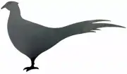 Silhouette Common Pheasant .072" Thickness Steel Flat Solid Metal Shape MC1463