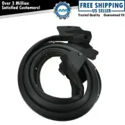 Door Seal Weatherstrip Pair Set of 2 for Chevy Monte Carlo Pontiac Grand Prix