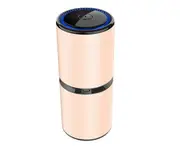 Portable Car Air Purifier Negative Ion Pm2.5 Formaldehyde Odor Smell Car Purifier Odor Allergies Eliminator-Gold