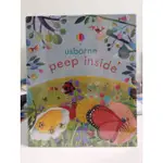 英文原版繪本6冊 USBORNE PEEP INSIDE 偷偷看一下 早教啓蒙 認知立體機關翻翻紙板書