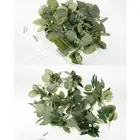 200CM Artificial Garland Simulation Faux Plants Vines Hanging Flower and parJn