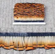 Natural Golden Pheasant Feather Fringe Ribbon Trim Price for 30cm DIY Art Craft