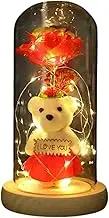 LED Light Glass Dome Galaxy Rose Flowers with One Mini Bear for Christmas Valentine's Day Birthday Gift Mothers Day Gifts, Gifts for Mum