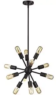 Elk Lighting 46230/12 Delphine - 12 Light Chandelier in Modern/Contemporary