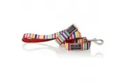 Doog Neoprene Dog Lead - Scooby - Candy Stripes [Size: Small]