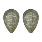2 Pcs Wasp Nest Decoy Wasp Deterrent for Outdoor Hanging, Home and Garden L7M3