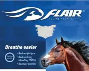 Flair Equine Nasal Strip single [Colour : Turquoise]