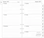 Newestor 2025 Weekly & Monthly Planner Refill, 3-3/4" X 6-3/4", January 2025 - D