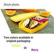 Tupperware Packette Divided Container Set Of 2 Slimline Lunch Box New. USA