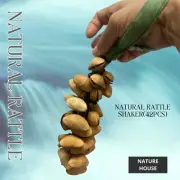 Hand Musical Shaker Seeds Pods Rattle Aboriginal Instrument Percussion (42 Pods)